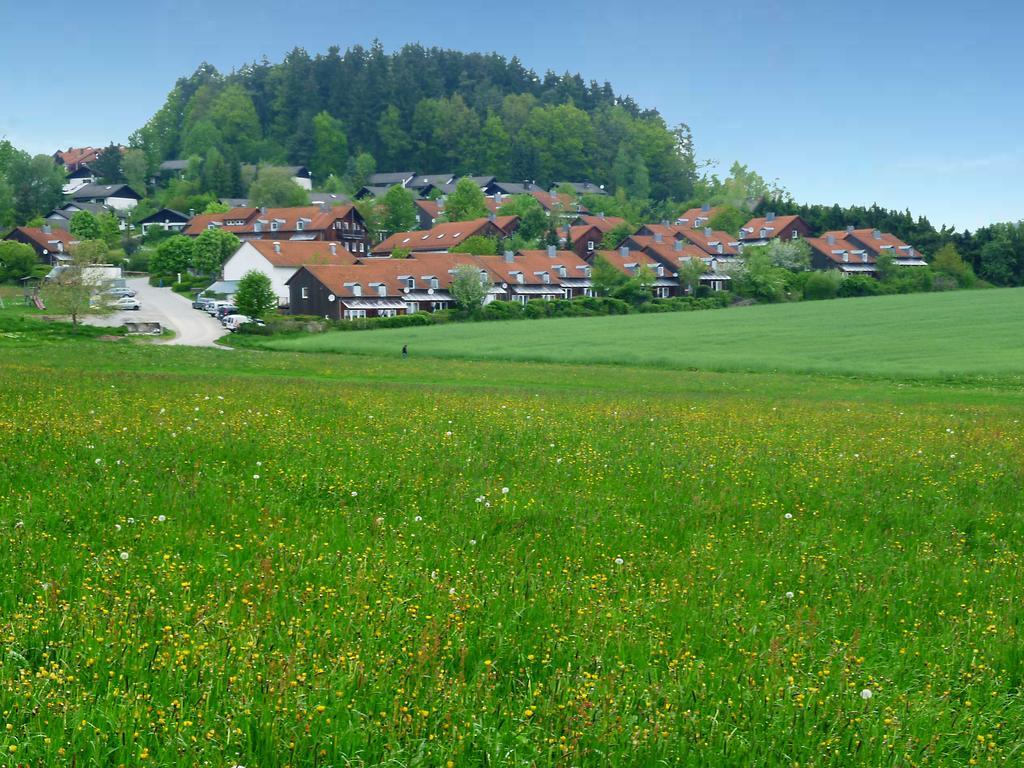 Ferienwohnung Gerda Zandt 外观 照片